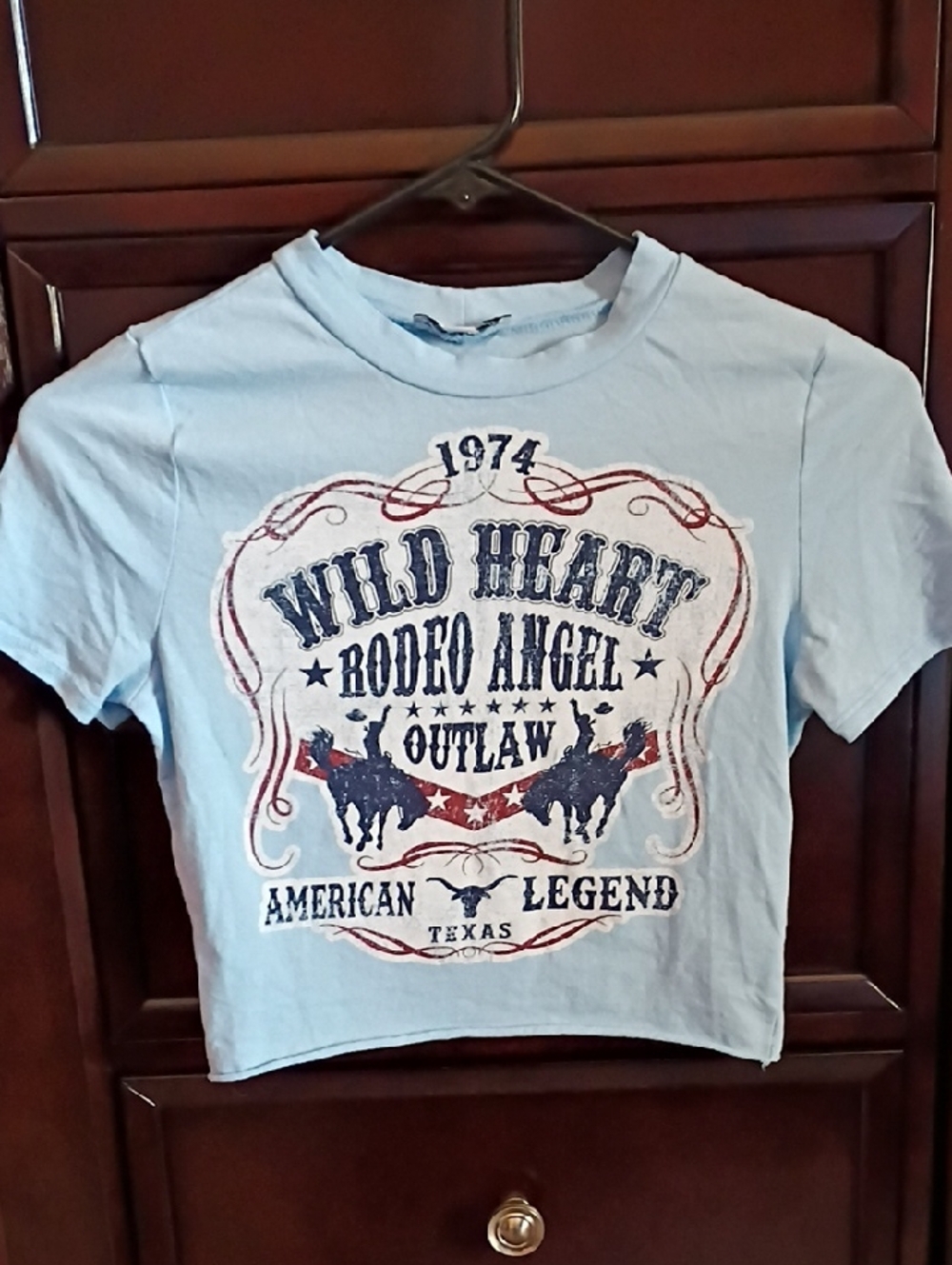 Baby Blue Cropped Western Graphic Tee